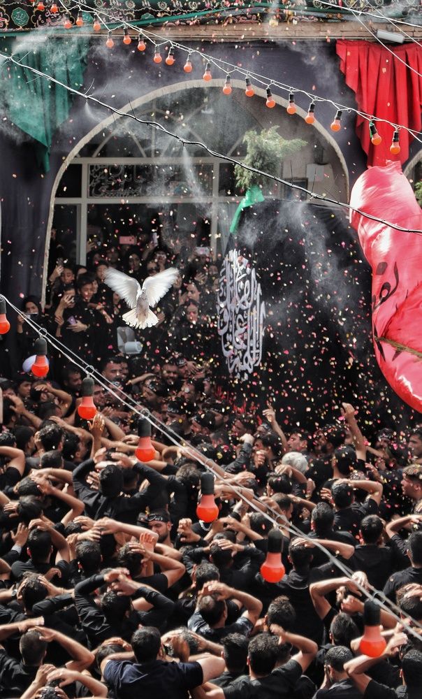 Photograph by Fatemeh Alipour