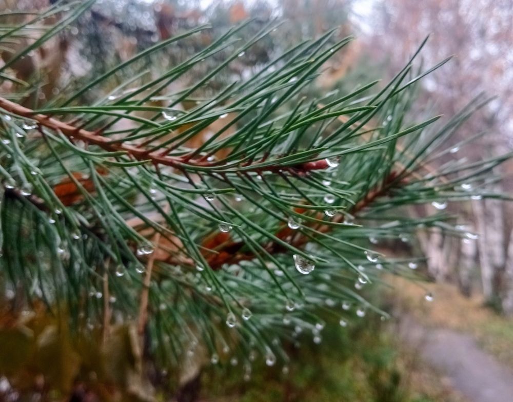 Photograph by Андрей