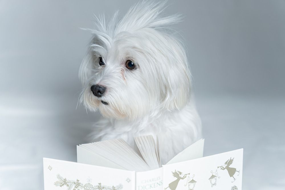 Photograph by Alicia Mata