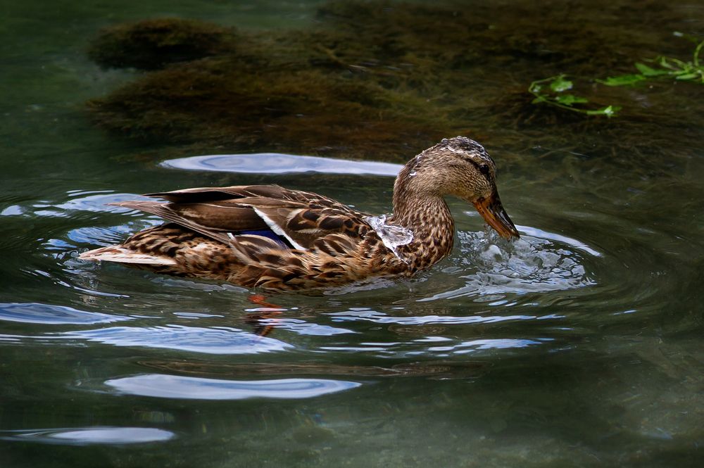 Photograph by Алексей Вяткин