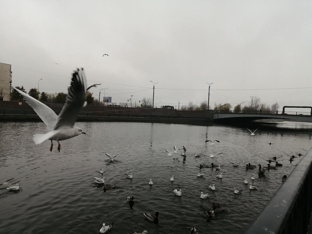 Photograph by Митя Стрельников