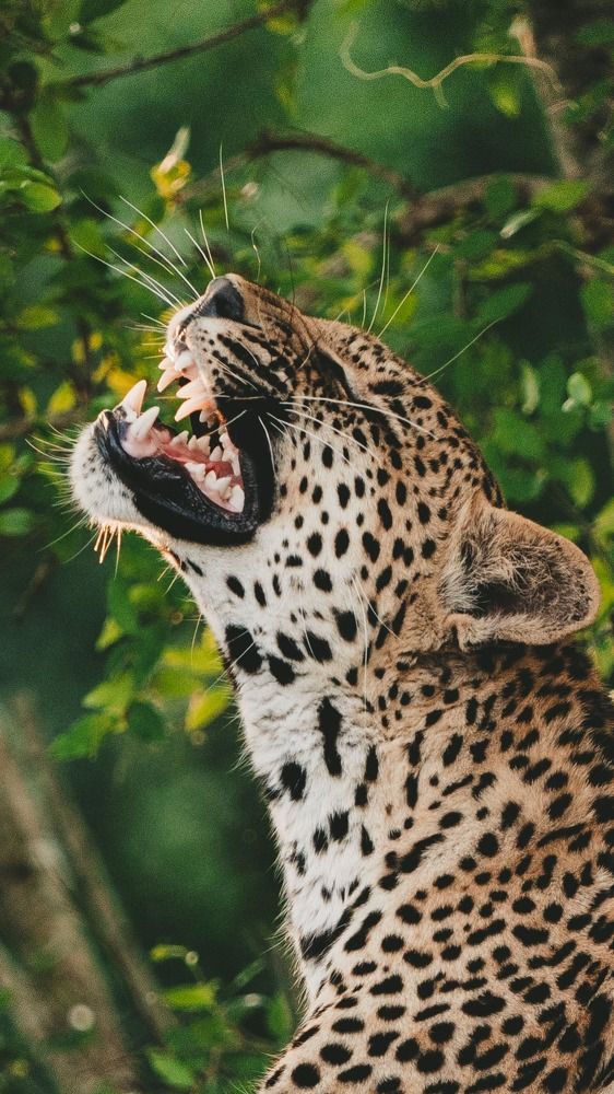 Photograph by Елена Митрофанова