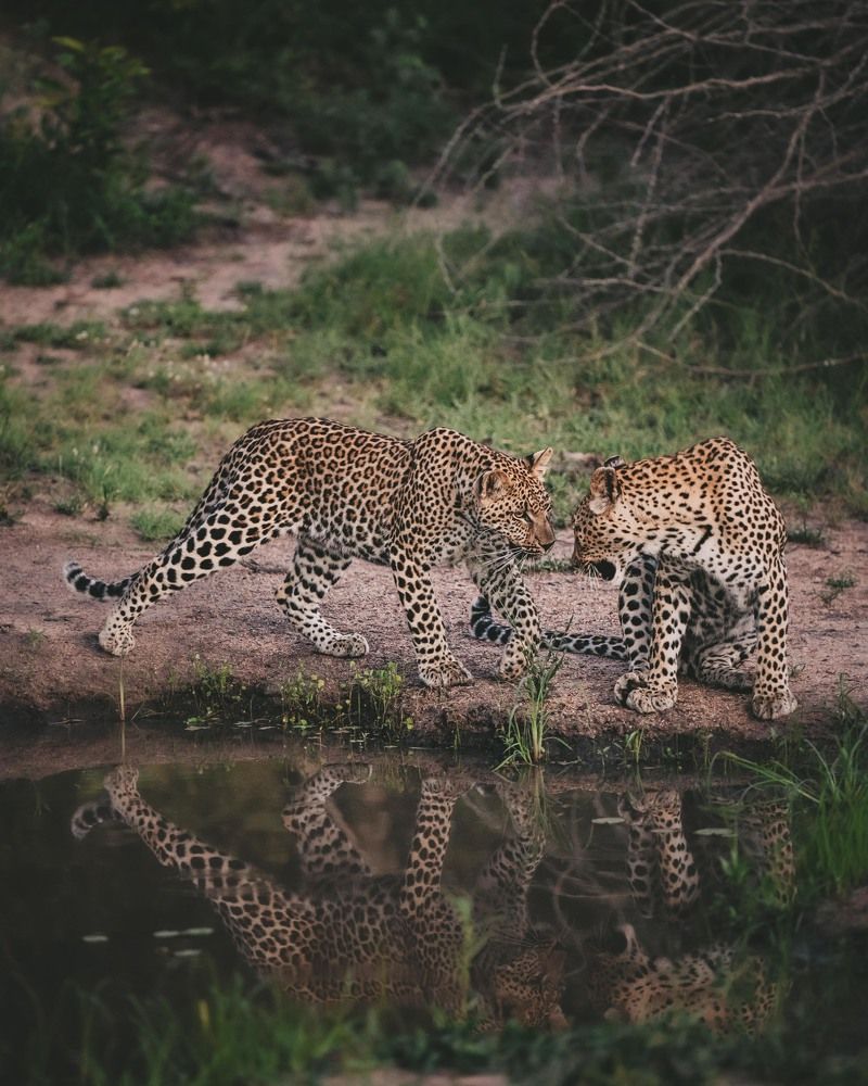 Photograph by Елена Митрофанова