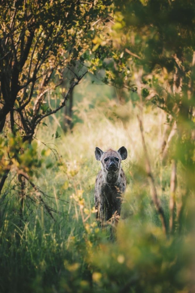 Photograph by Елена Митрофанова