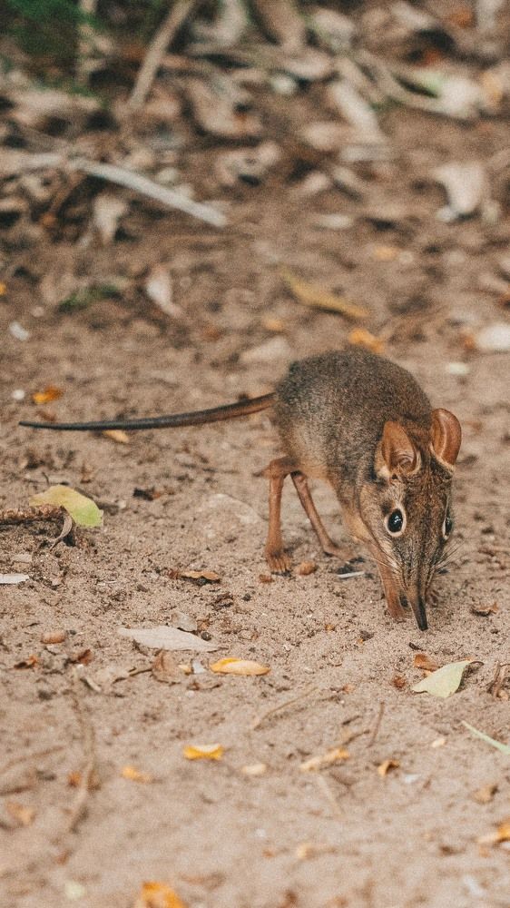 Photograph by Елена Митрофанова