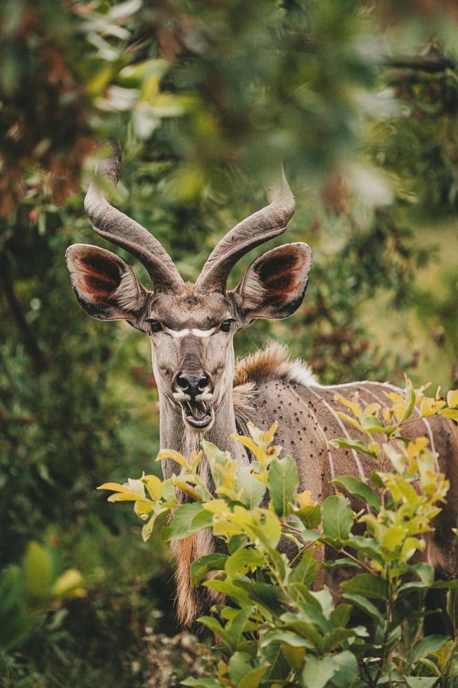 Photograph by Елена Митрофанова