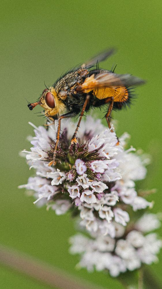 Photograph by Елена Митрофанова