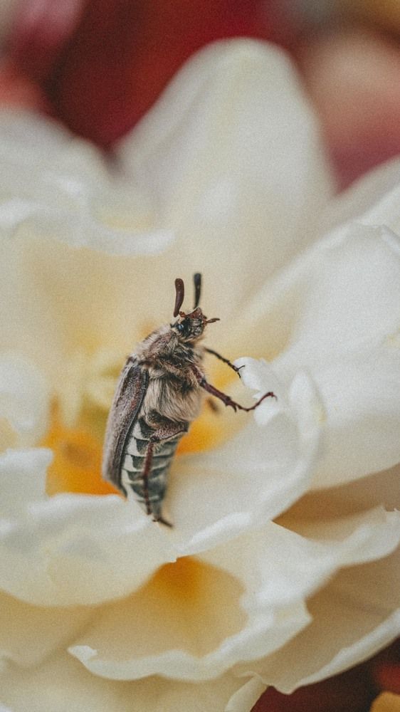 Photograph by Елена Митрофанова