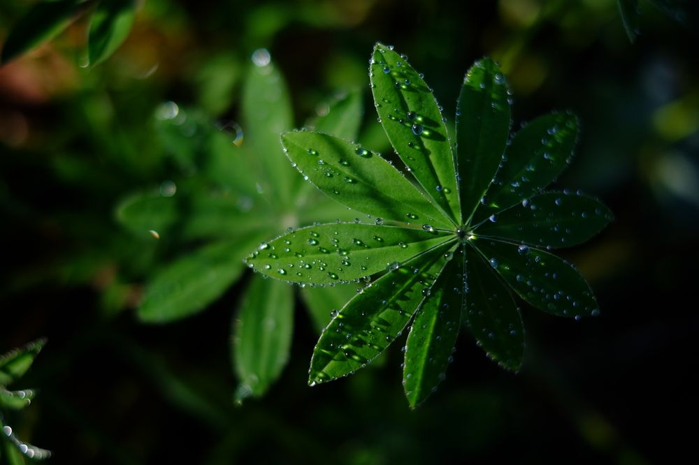 Photograph by Яна Бойко