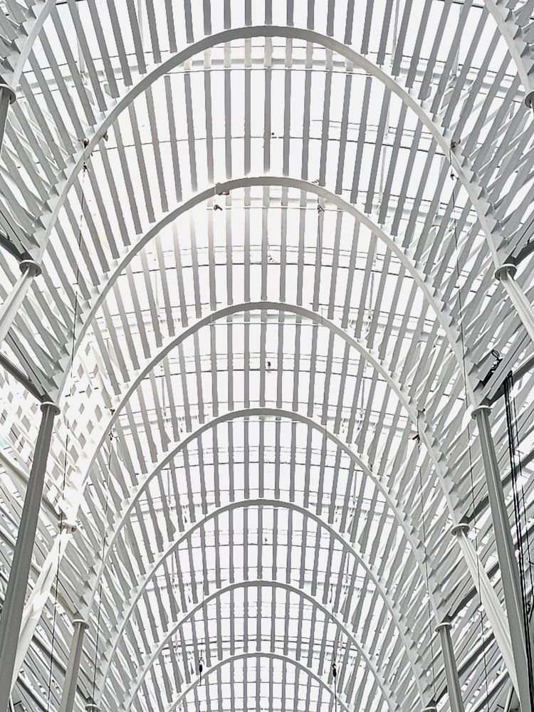 Photograph by Dorota Yamadag