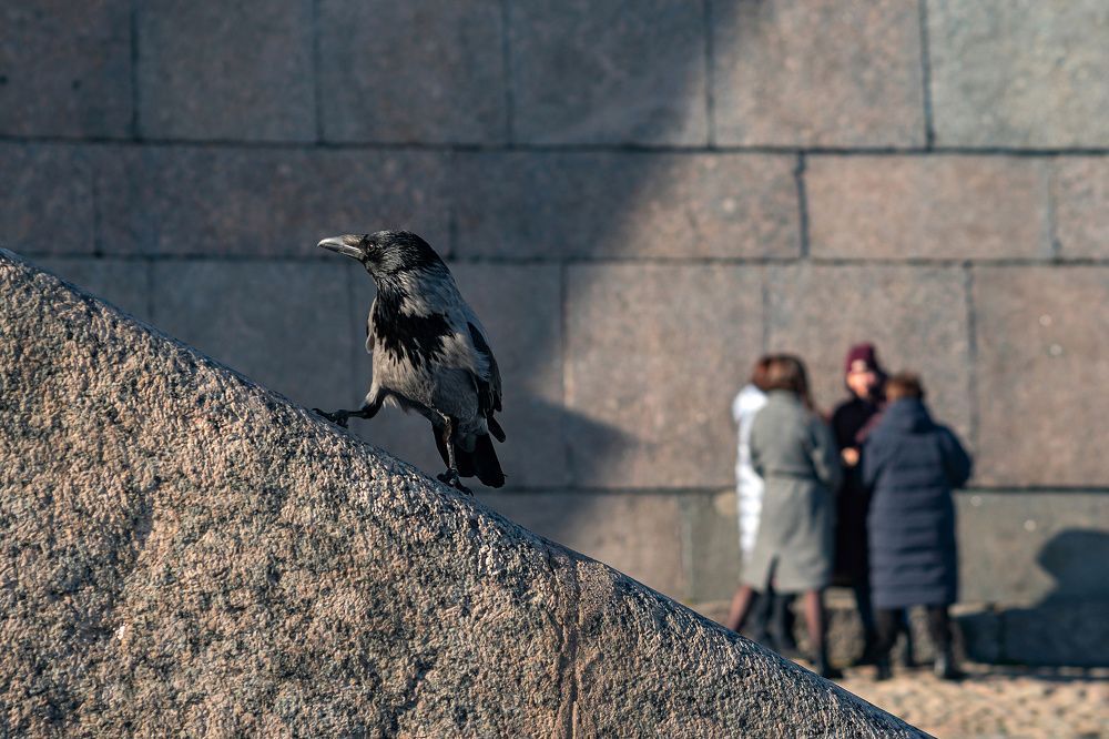 Photograph by Nikitin Igor