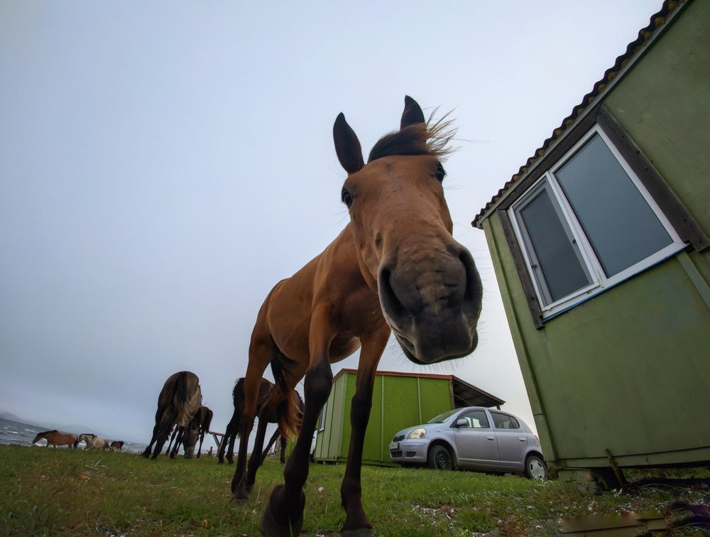 Photograph by Andrey Matveenko