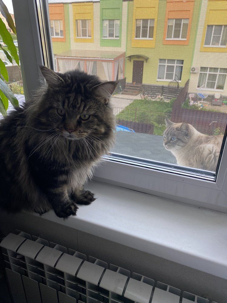 Photograph by Князев Сергей