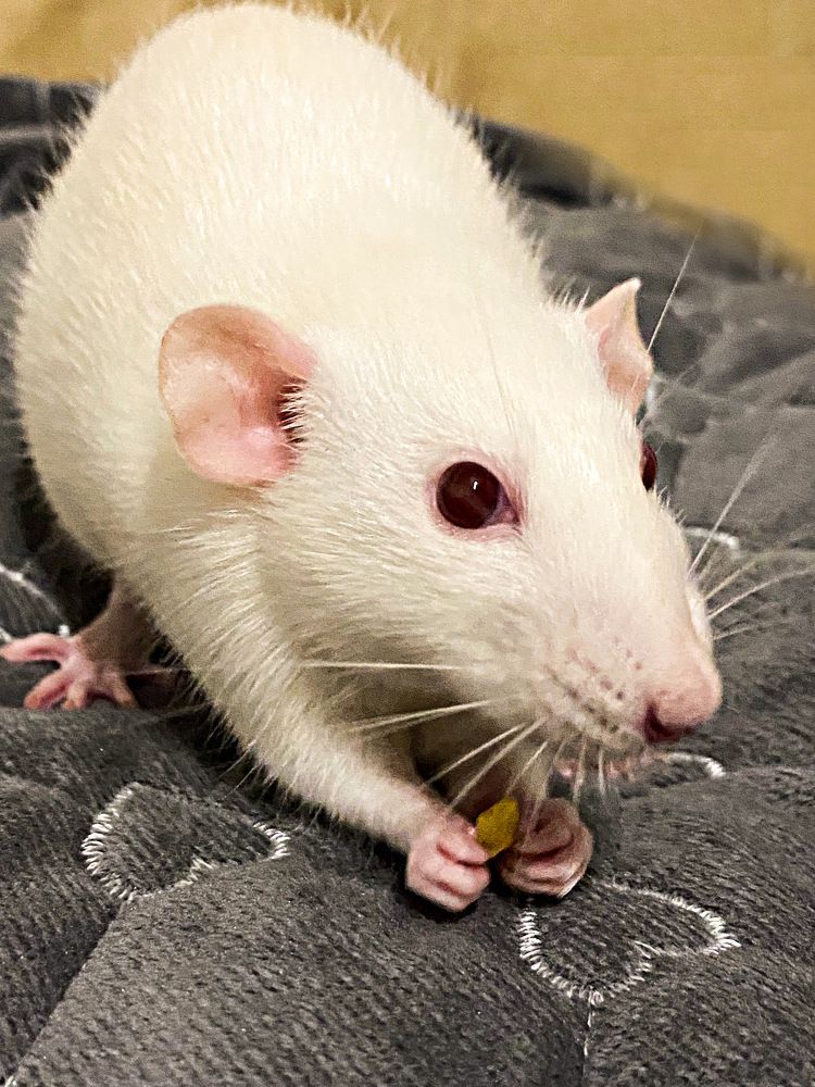 Photograph by Александра Гонтарь