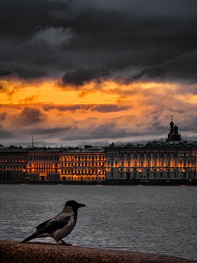 Photograph by Chic.chiquitita