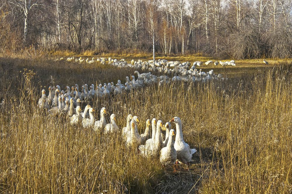 Photograph by Юрий Борик