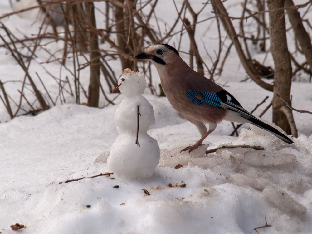Photograph by Елена Маслова