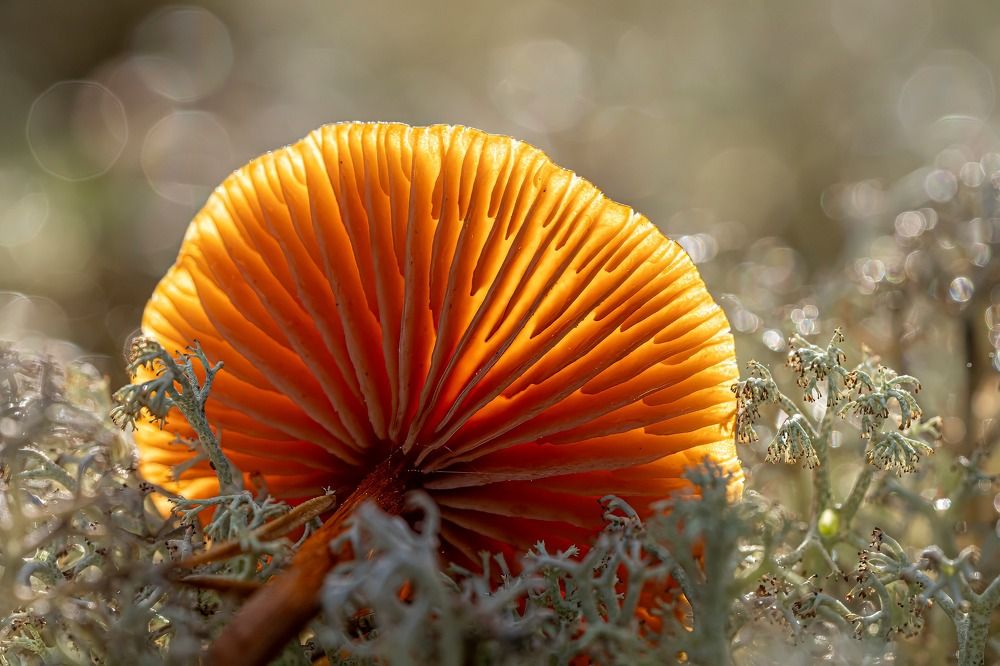 Photograph by Юрий Чернов