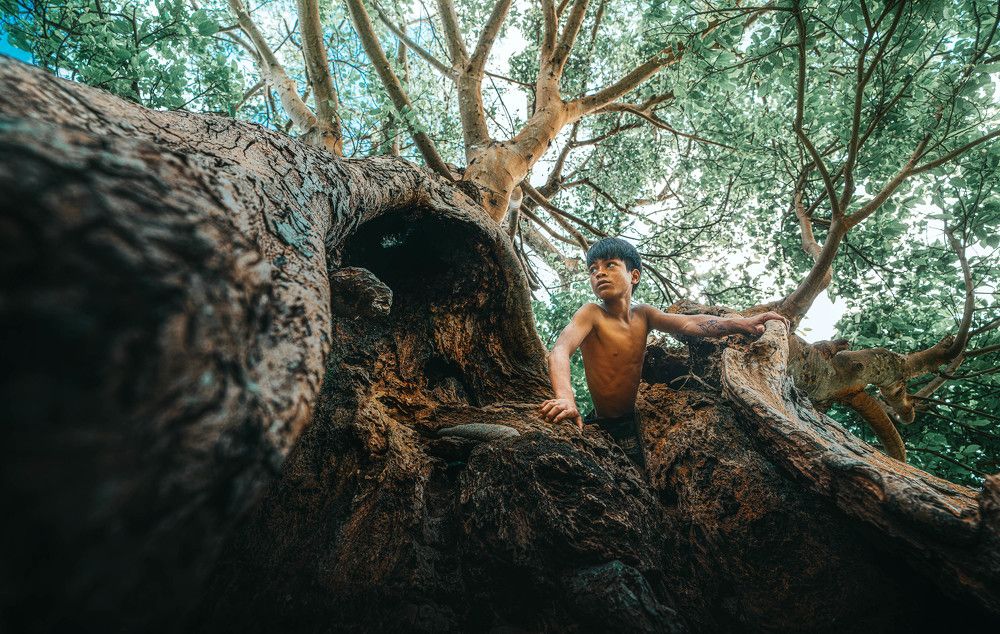 Photograph by lê tấn thanh