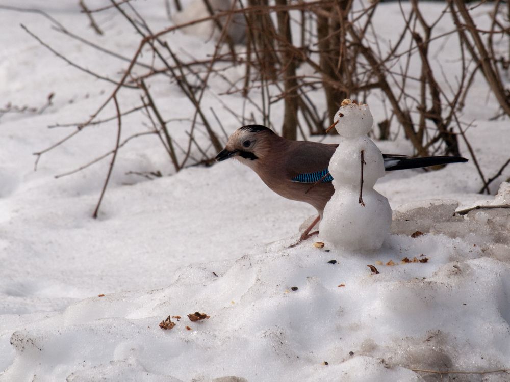 Photograph by Елена Маслова