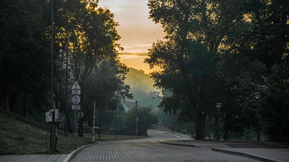 Фотография автора Алексей Борисов