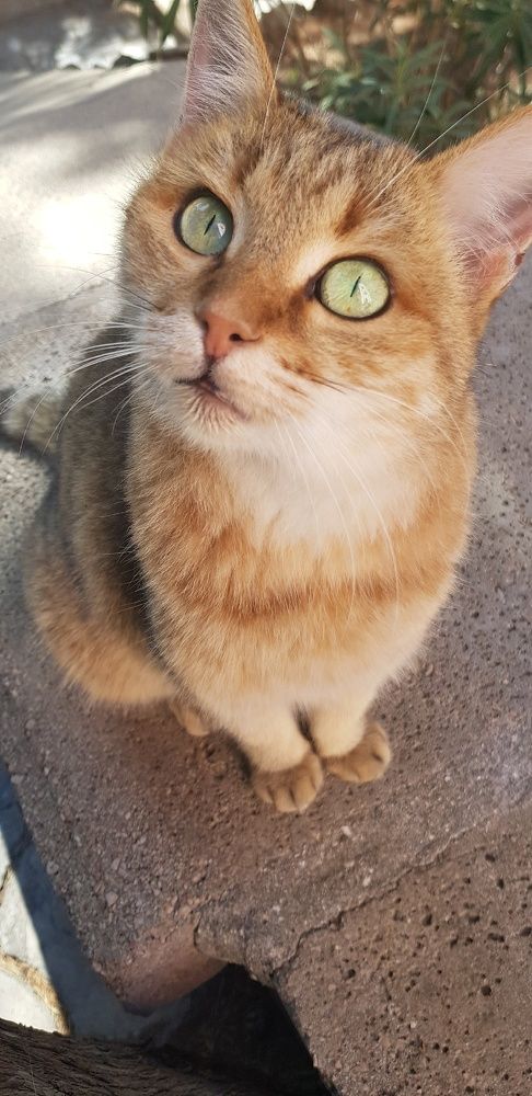 Фотография автора Ольга Мусина