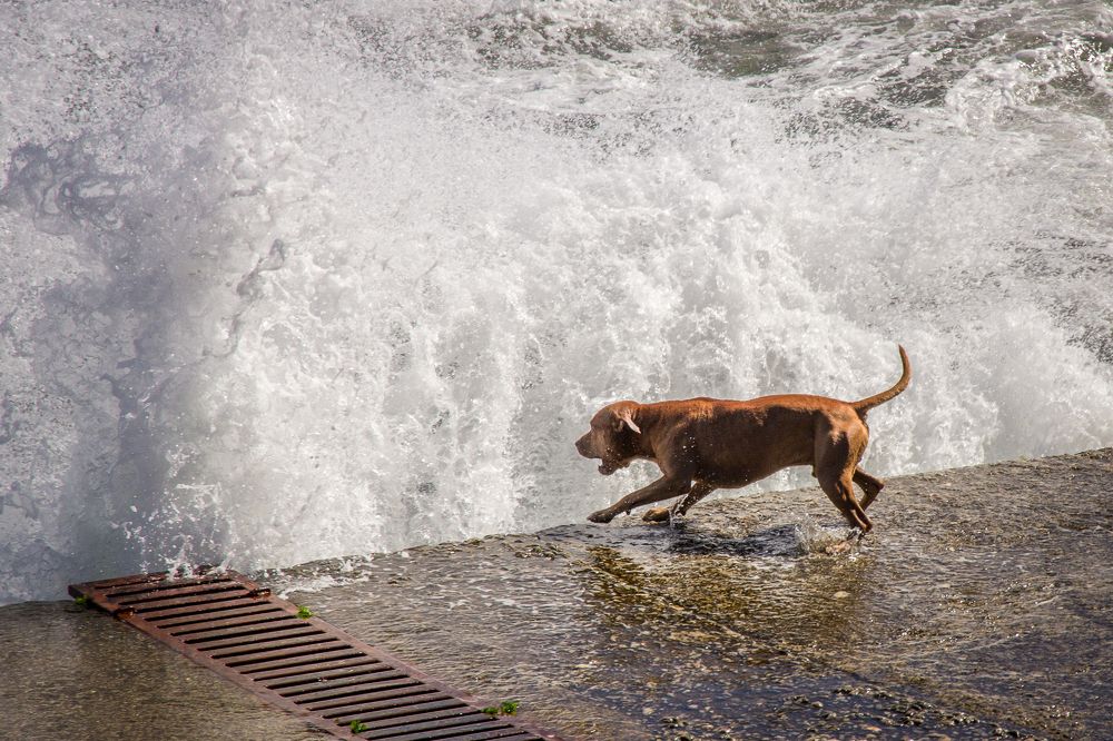 Photograph by Олег Мамонтов