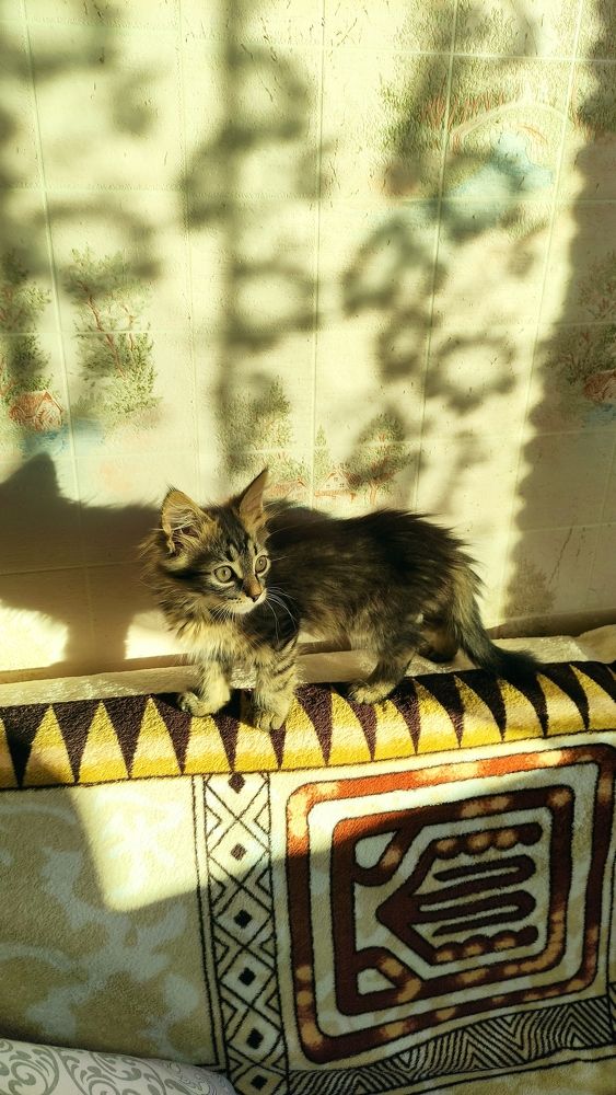 Фотография автора Васильева Ирина