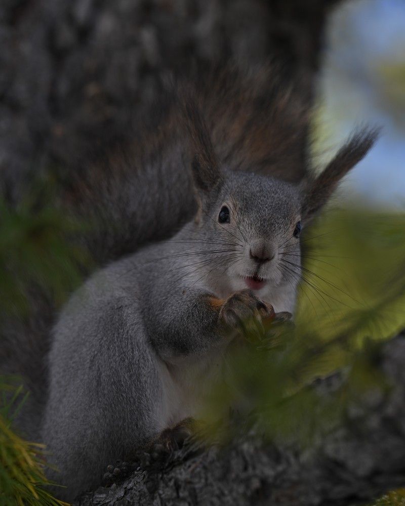 Photograph by Екатерина Рябкова