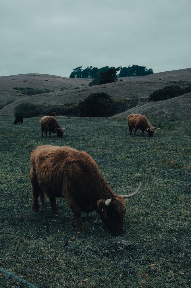 Photograph by Ekaterina Erofeeva