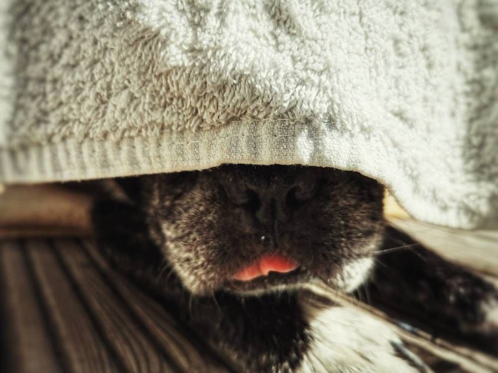 Photograph by Дайана