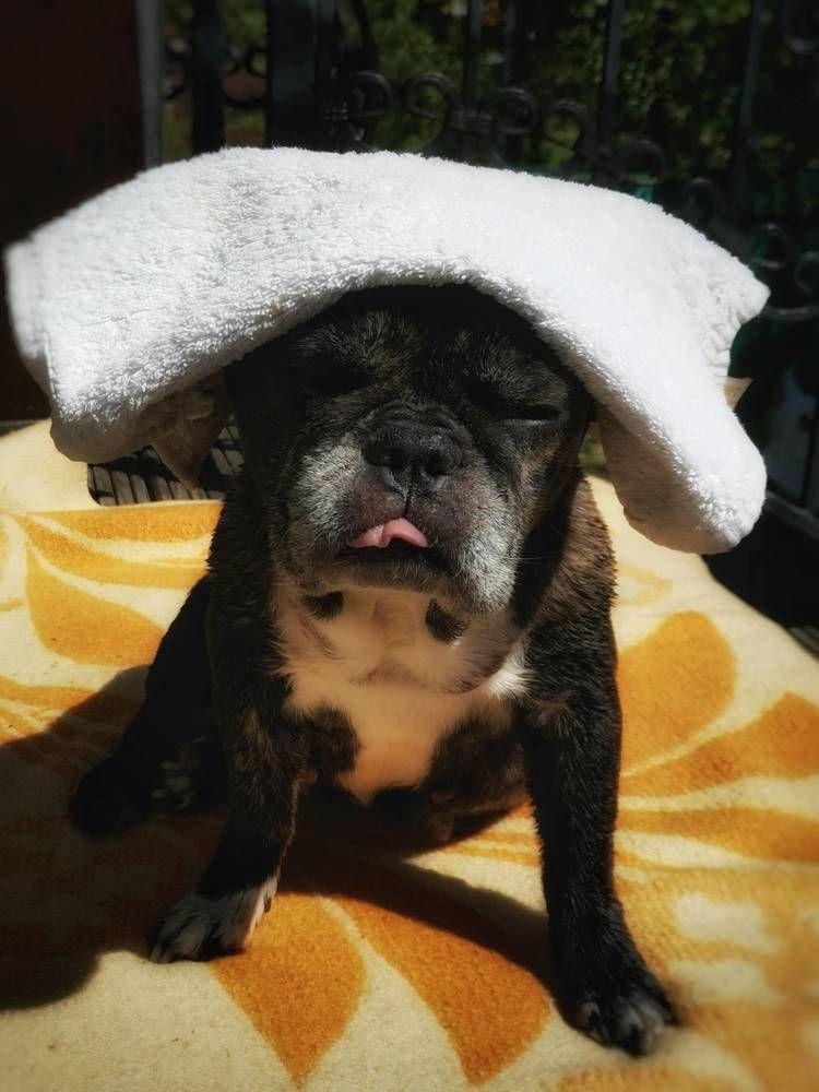 Photograph by Дайана