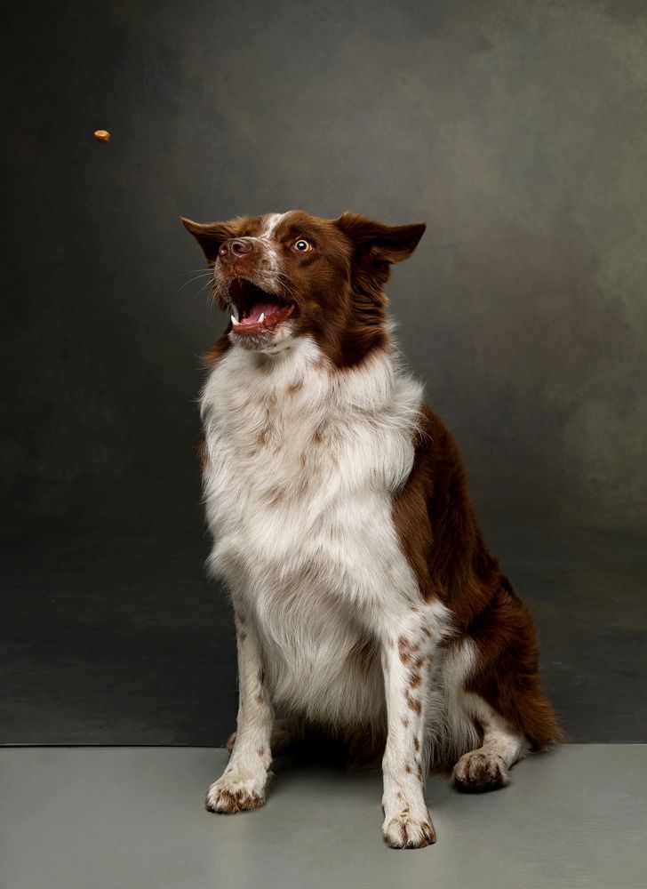 Photograph by Екатерина Рябкова