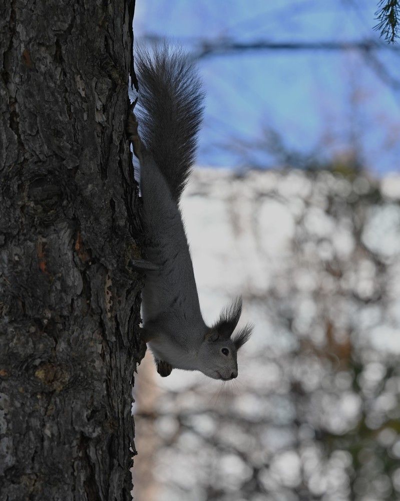 Photograph by Екатерина Рябкова