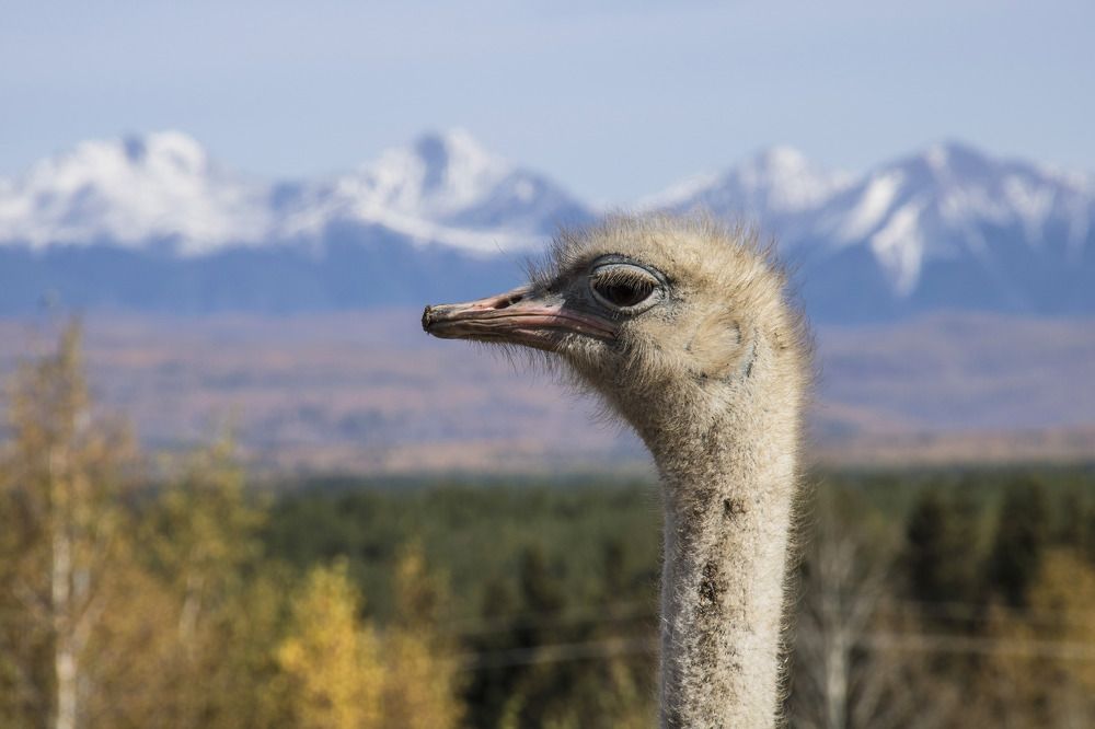 Photograph by Юрий Борик