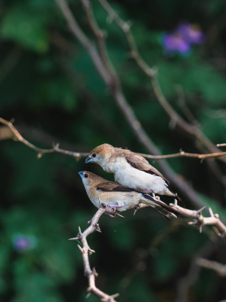 Photograph by Avkash Chevli