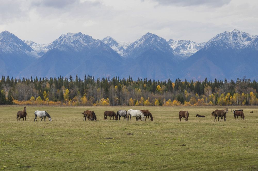 Photograph by Юрий Борик