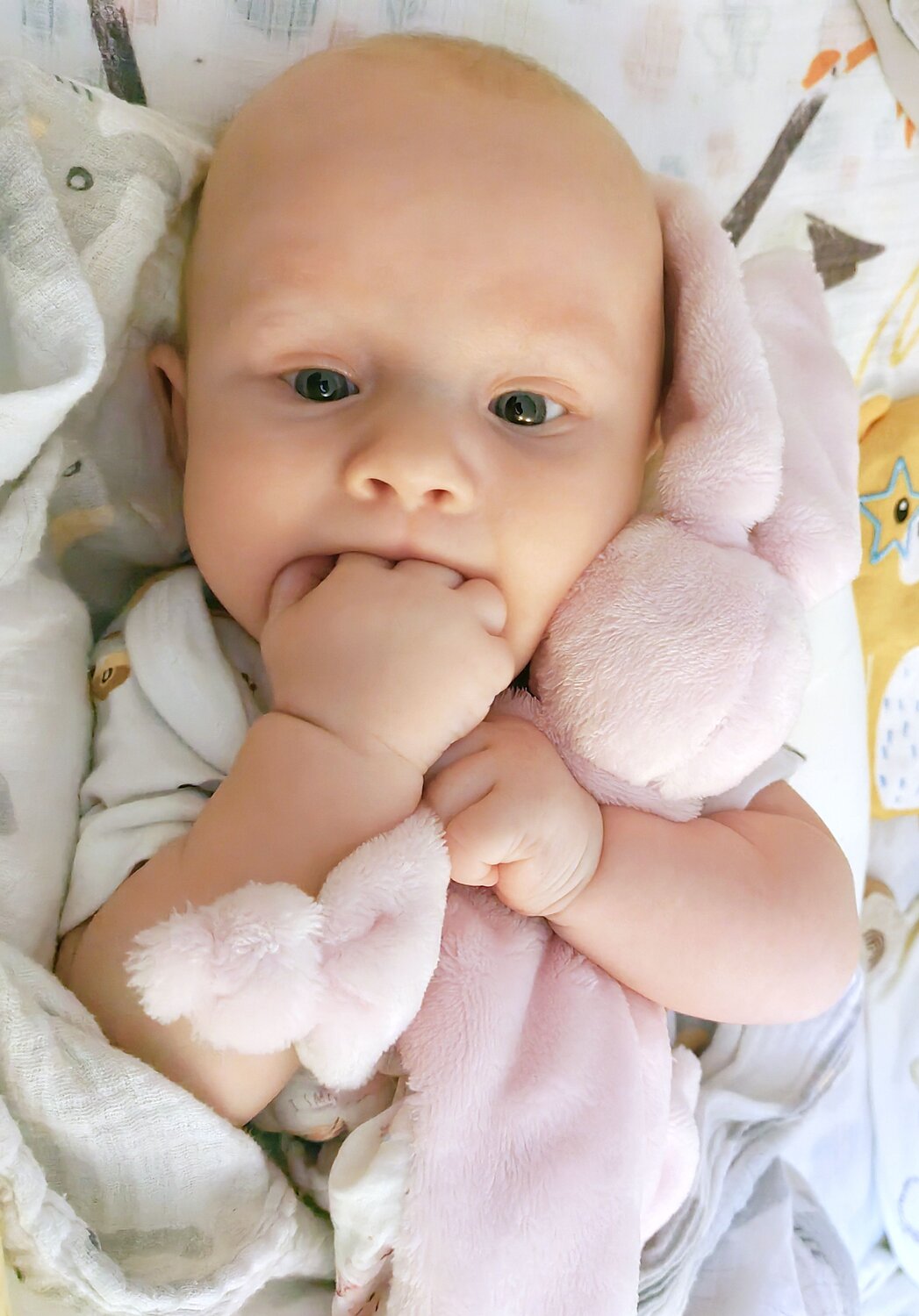 Photo #9816970