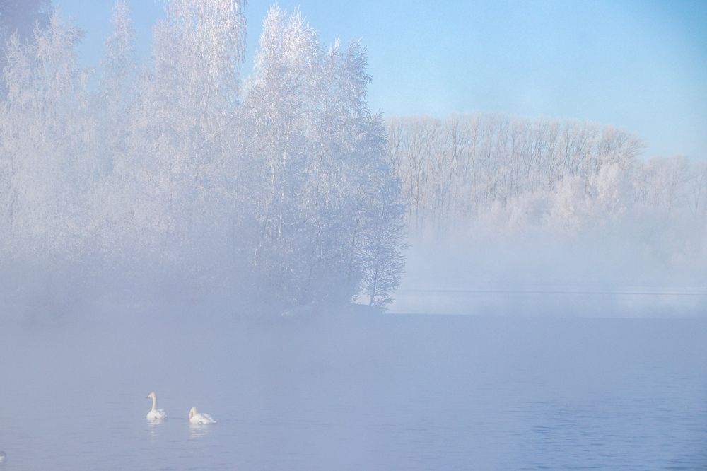 Photograph by Наталья Трифуз