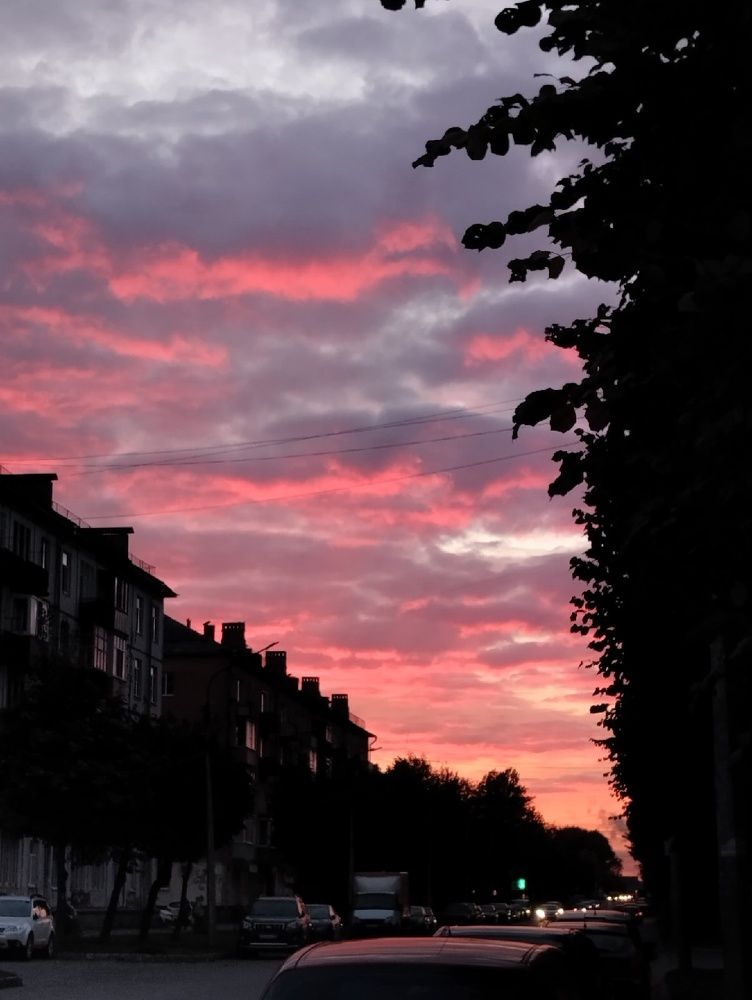 Photograph by Елена Малкова