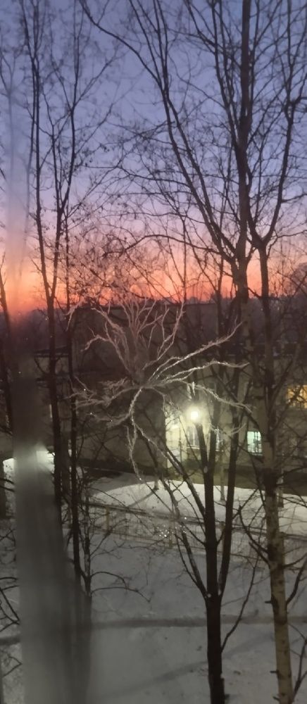Photograph by Елена Малкова