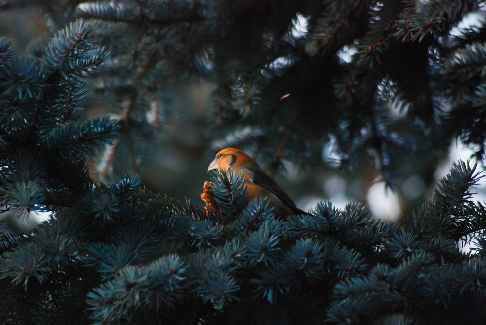 Photograph by Дарья Эпштейн