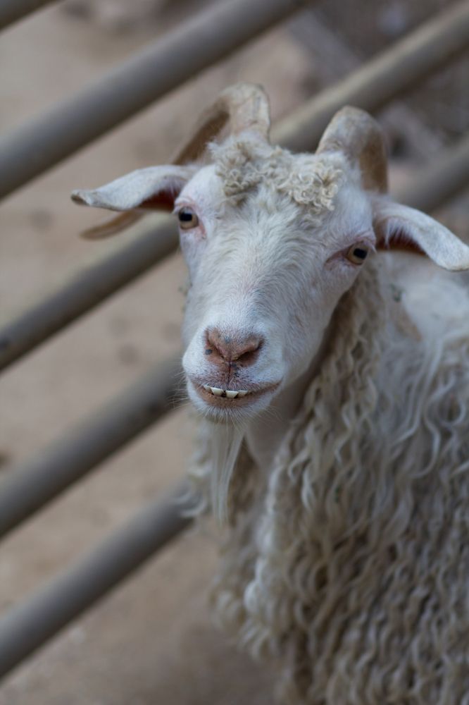 Photograph by Olga Min