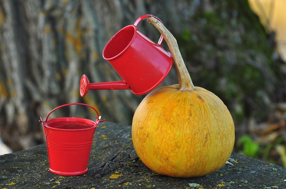 Photograph by Юрий Яковлев