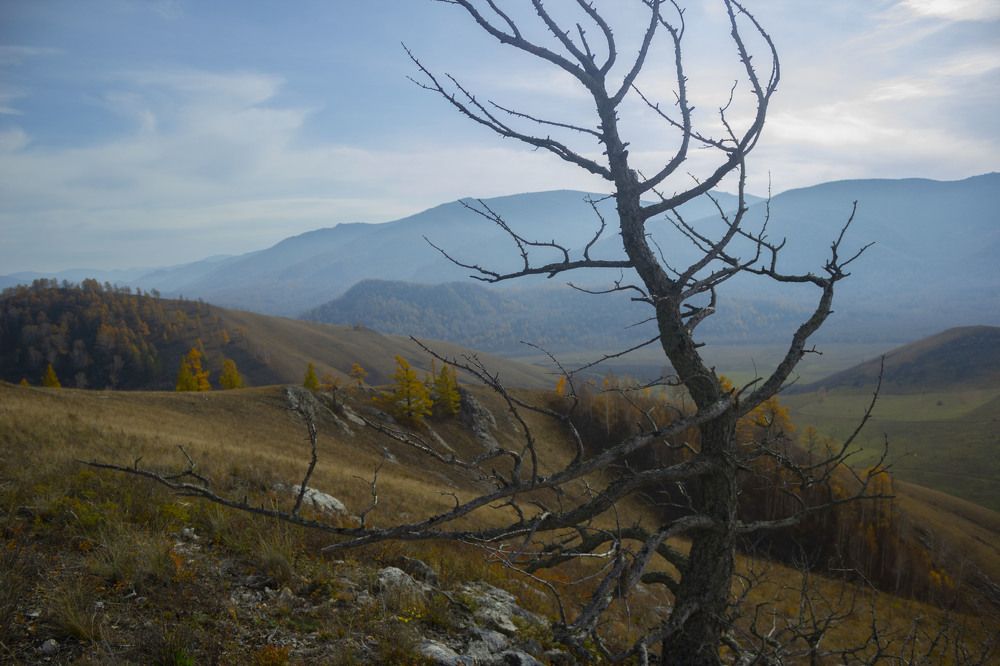 Фотография автора Татьяна Сульженко