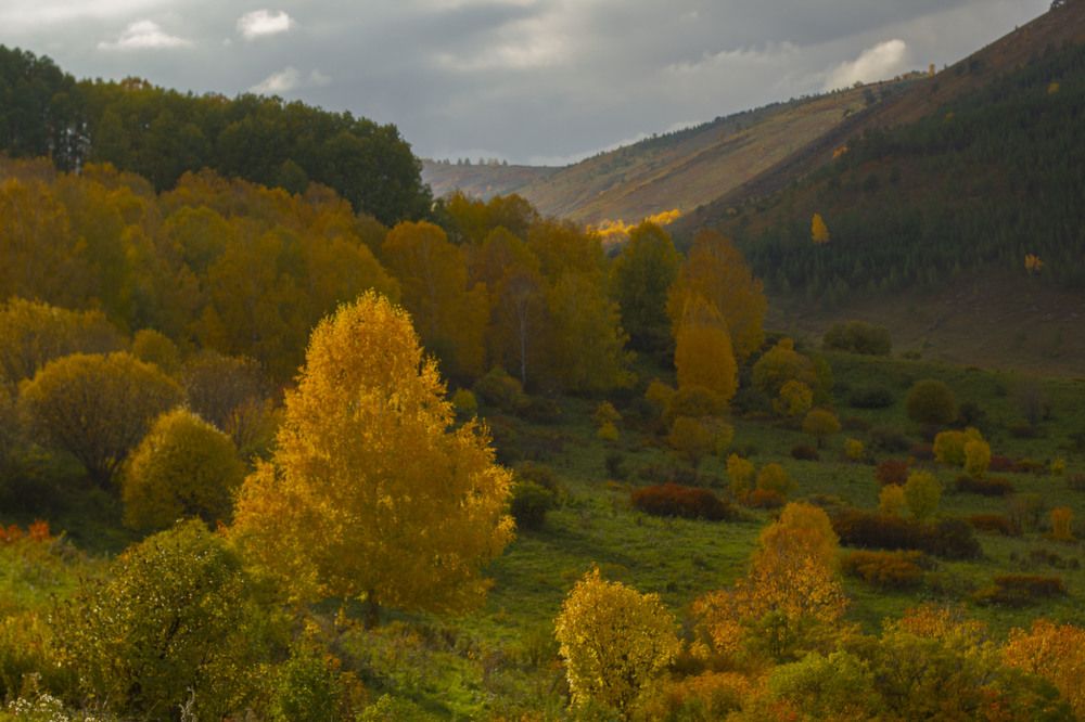 Фотография автора Татьяна Сульженко