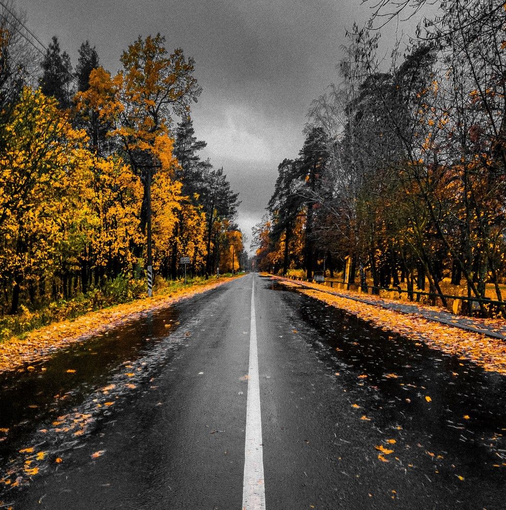 Photograph by Вероника Летецкая