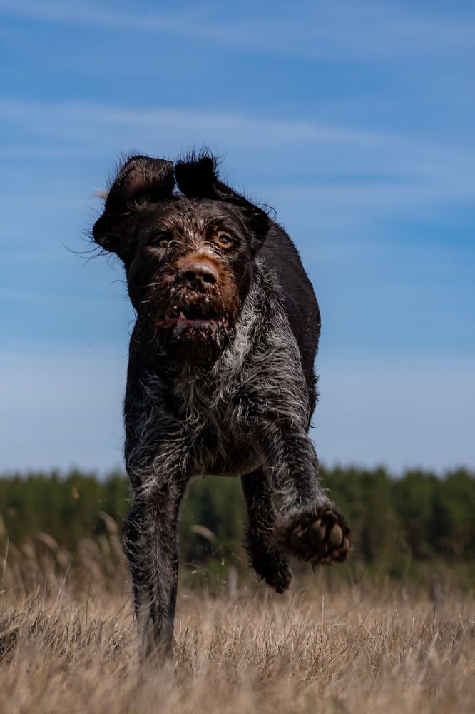 Photograph by Владимир Коновалов