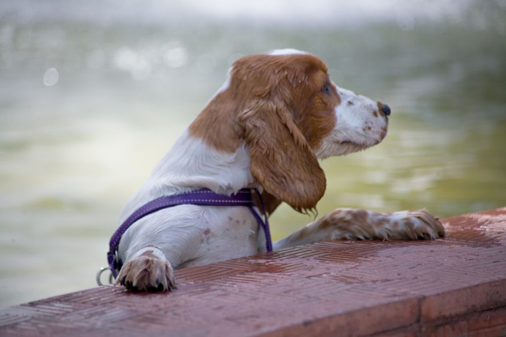 Photograph by Панюшкин Андрей