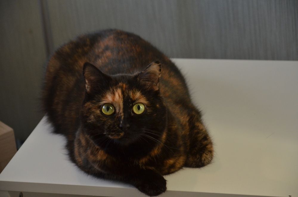 Photograph by Екатерина Васильевых